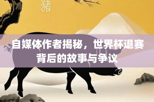 自媒体作者揭秘，世界杯退赛背后的故事与争议