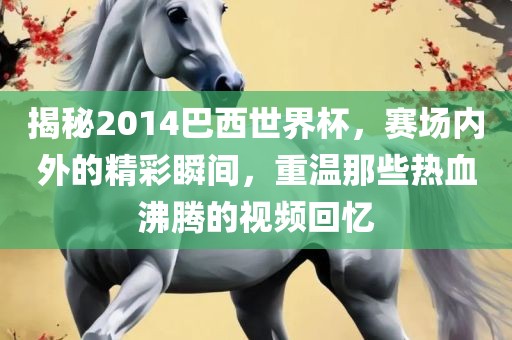 揭秘2014巴西世界杯，赛场内外的精彩瞬间，重温那些热血沸腾的视频回忆