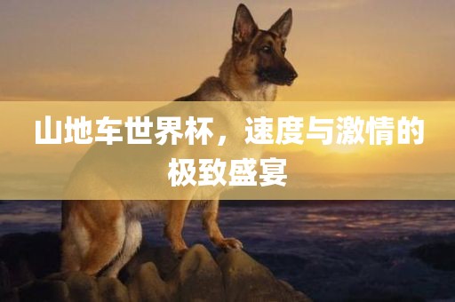 山地车世界杯，速度与激情的极致盛宴
