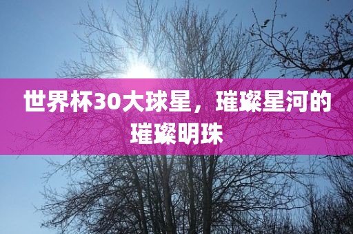 世界杯30大球星，璀璨星河的璀璨明珠