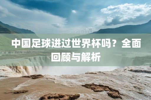 中国足球进过世界杯吗？全面回顾与解析