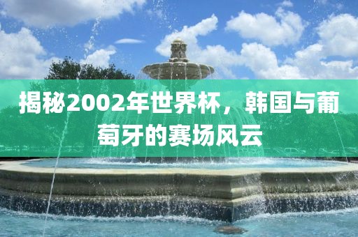 揭秘2002年世界杯，韩国与葡萄牙的赛场风云