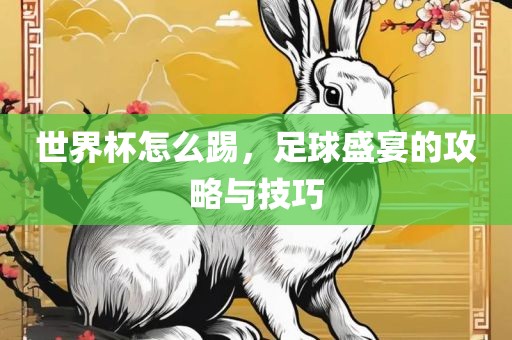 世界杯怎么踢，足球盛宴的攻略与技巧