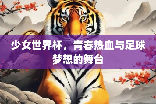 少女世界杯，青春热血与足球梦想的舞台