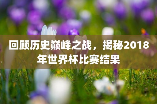 回顾历史巅峰之战，揭秘2018年世界杯比赛结果
