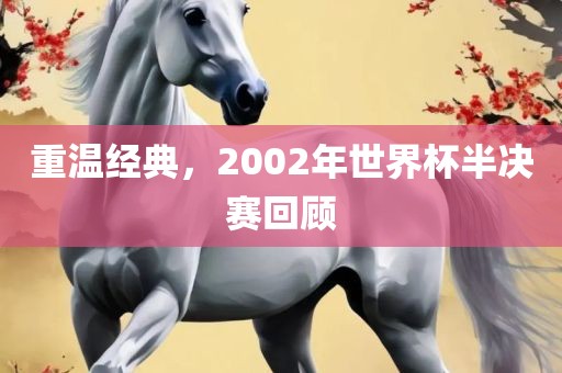 重温经典，2002年世界杯半决赛回顾