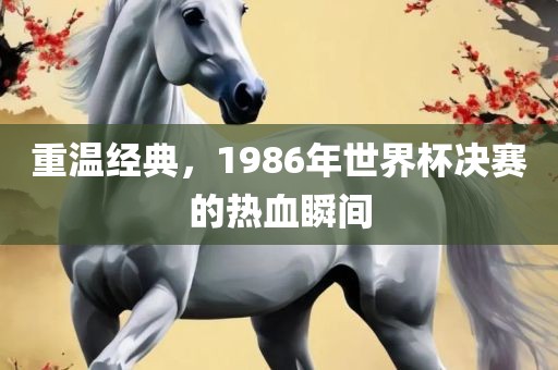重温经典，1986年世界杯决赛的热血瞬间