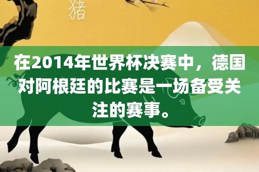 在2014年世界杯决赛中，德国对阿根廷的比赛是一场备受关注的赛事。