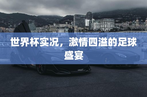 世界杯实况，激情四溢的足球盛宴