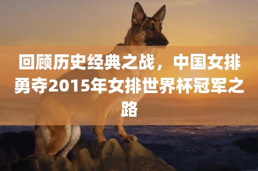 回顾历史经典之战，中国女排勇夺2015年女排世界杯冠军之路
