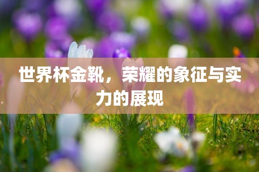 世界杯金靴，荣耀的象征与实力的展现