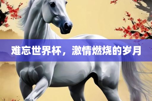 难忘世界杯，激情燃烧的岁月
