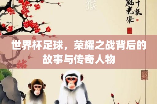 世界杯足球，荣耀之战背后的故事与传奇人物