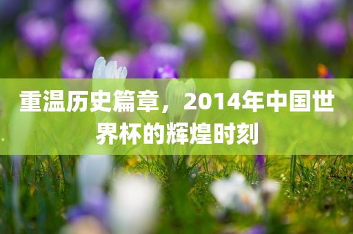 重温历史篇章，2014年中国世界杯的辉煌时刻