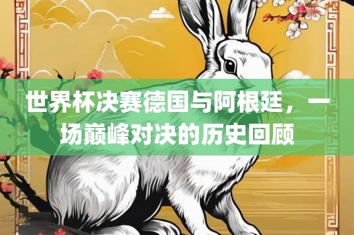 世界杯决赛德国与阿根廷，一场巅峰对决的历史回顾