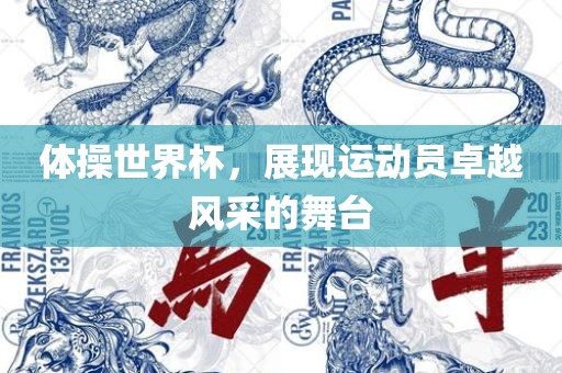 体操世界杯，展现运动员卓越风采的舞台