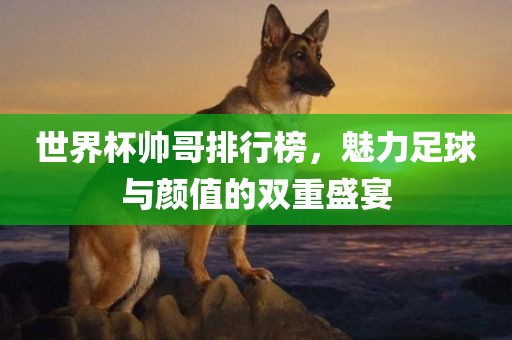 世界杯帅哥排行榜，魅力足球与颜值的双重盛宴