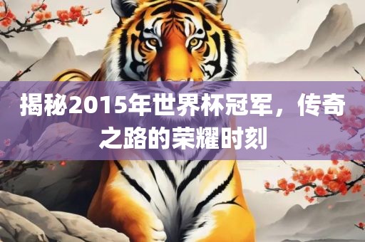 揭秘2015年世界杯冠军，传奇之路的荣耀时刻