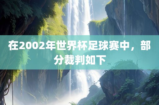 在2002年世界杯足球赛中，部分裁判如下