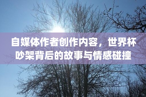 自媒体作者创作内容，世界杯吵架背后的故事与情感碰撞