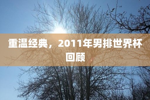 重温经典，2011年男排世界杯回顾