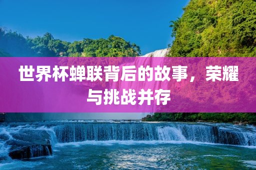 世界杯蝉联背后的故事，荣耀与挑战并存
