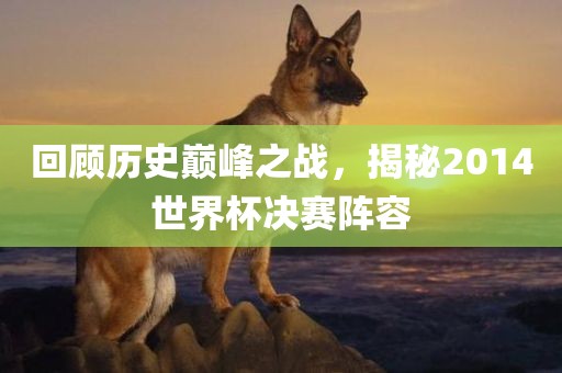回顾历史巅峰之战，揭秘2014世界杯决赛阵容
