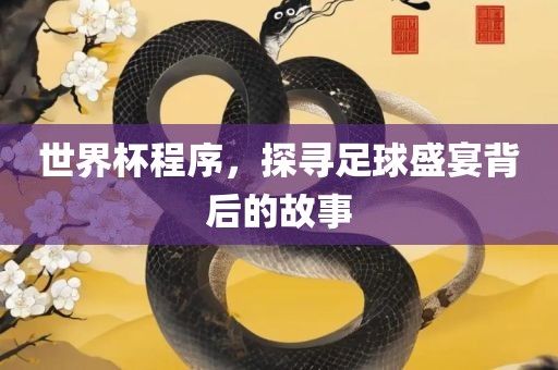 世界杯程序，探寻足球盛宴背后的故事