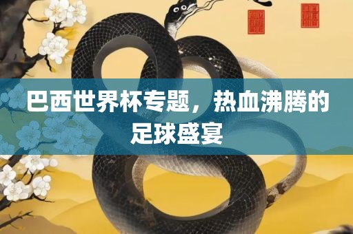 巴西世界杯专题，热血沸腾的足球盛宴
