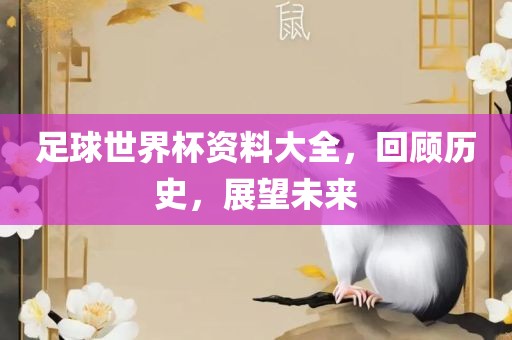 足球世界杯资料大全，回顾历史，展望未来
