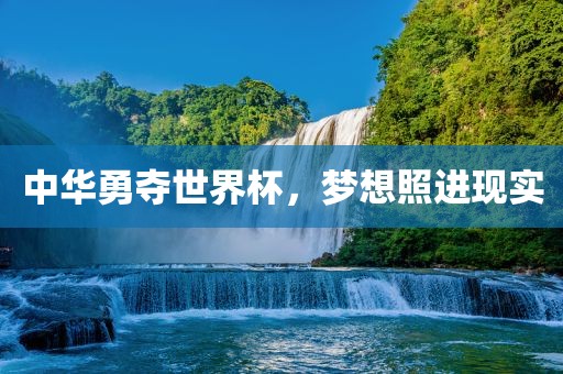 中华勇夺世界杯，梦想照进现实