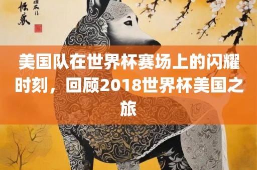 美国队在世界杯赛场上的闪耀时刻，回顾2018世界杯美国之旅