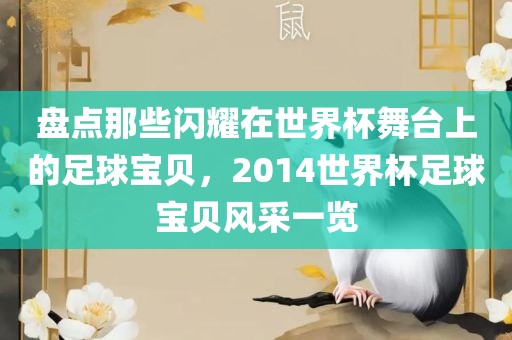 盘点那些闪耀在世界杯舞台上的足球宝贝，2014世界杯足球宝贝风采一览
