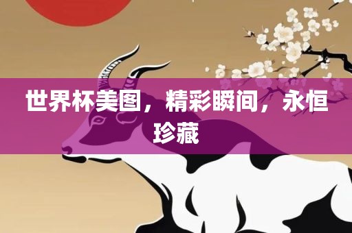 世界杯美图，精彩瞬间，永恒珍藏