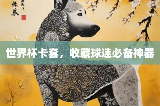 世界杯卡套，收藏球迷必备神器