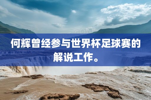 何辉曾经参与世界杯足球赛的解说工作。