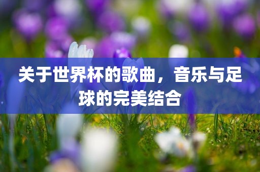 关于世界杯的歌曲，音乐与足球的完美结合