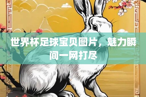 世界杯足球宝贝图片，魅力瞬间一网打尽