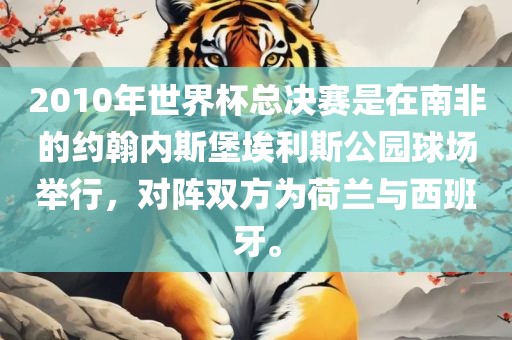 2010年世界杯总决赛是在南非的约翰内斯堡埃利斯公园球场举行，对阵双方为荷兰与西班牙。