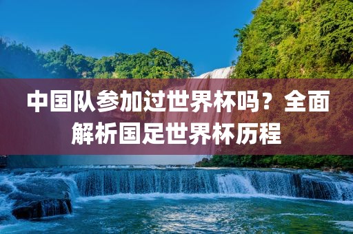 中国队参加过世界杯吗？全面解析国足世界杯历程