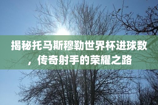揭秘托马斯穆勒世界杯进球数，传奇射手的荣耀之路