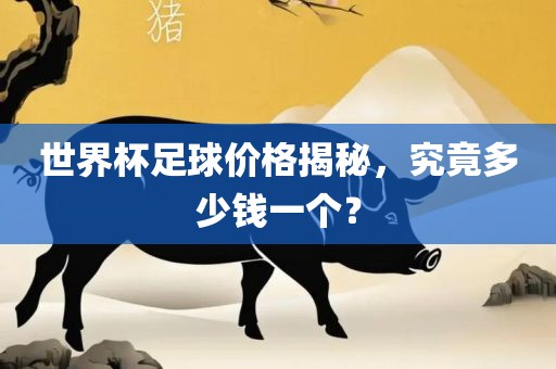世界杯足球价格揭秘，究竟多少钱一个？