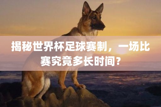 揭秘世界杯足球赛制，一场比赛究竟多长时间？