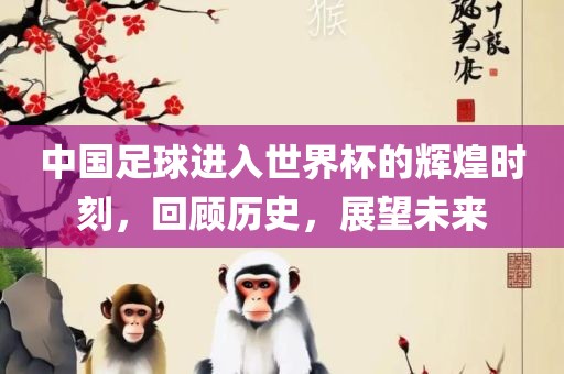 中国足球进入世界杯的辉煌时刻，回顾历史，展望未来