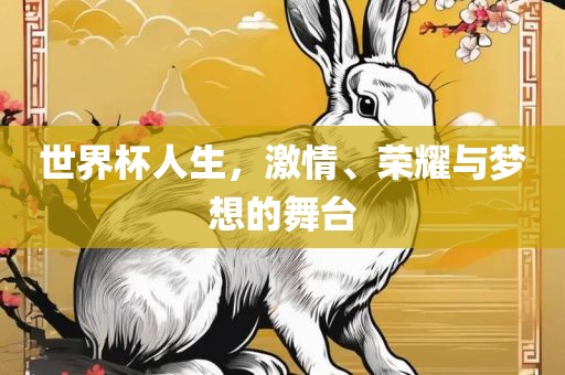 世界杯人生，激情、荣耀与梦想的舞台