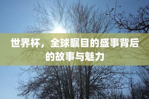 世界杯，全球瞩目的盛事背后的故事与魅力
