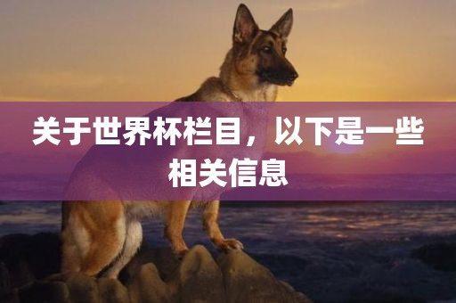 关于世界杯栏目，以下是一些相关信息