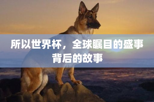 所以世界杯，全球瞩目的盛事背后的故事