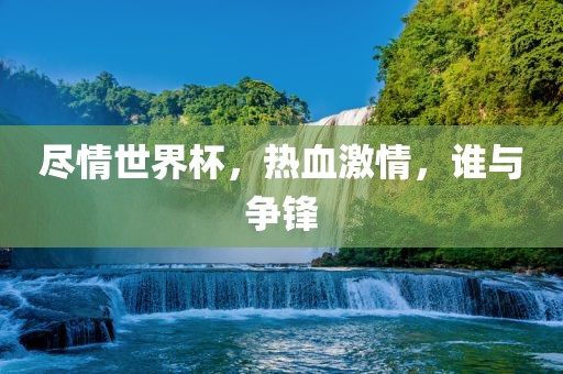 尽情世界杯，热血激情，谁与争锋