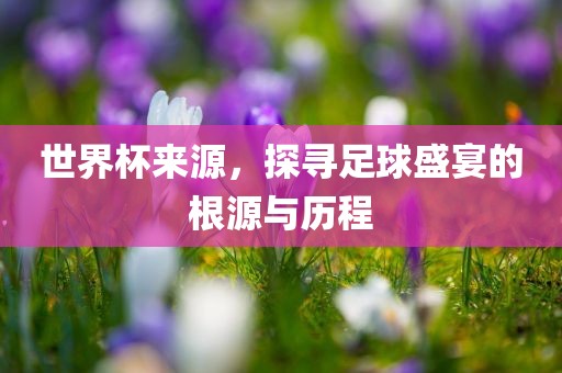 世界杯来源，探寻足球盛宴的根源与历程
